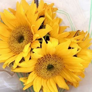 Meet your Posher, Eva